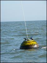 Click image for larger version

Name:	waveBuoy resize.jpg
Views:	272
Size:	52.1 KB
ID:	63294