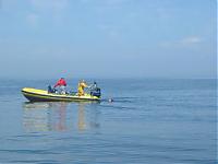 Click image for larger version

Name:	Ald prop AY swims.JPG
Views:	687
Size:	28.3 KB
ID:	6360
