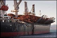 Click image for larger version

Name:	Giant rogue-wave hits ship!.jpg
Views:	405
Size:	61.8 KB
ID:	65894