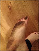 Click image for larger version

Name:	Dirty Feet.jpg
Views:	154
Size:	53.5 KB
ID:	73673