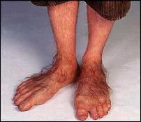 Click image for larger version

Name:	hobbit_feet.jpg
Views:	387
Size:	24.7 KB
ID:	73674
