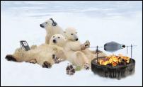 Click image for larger version

Name:	Polar-Bear-BBQ-Penguin.jpg
Views:	394
Size:	22.3 KB
ID:	76878