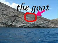 Click image for larger version

Name:	goat1.jpg
Views:	249
Size:	22.7 KB
ID:	7718