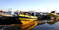 Click image for larger version

Name:	Tifino zebedee and others beached on brambles bank.jpg
Views:	525
Size:	78.7 KB
ID:	7876