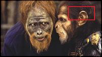 Click image for larger version

Name:	planet-of-the-apes-2001--09.jpg
Views:	841
Size:	62.6 KB
ID:	84682