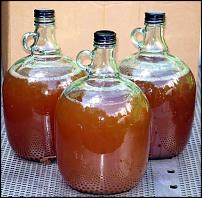 Click image for larger version

Name:	apple-cider.jpg
Views:	282
Size:	51.3 KB
ID:	85530