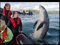 Click image for larger version

Name:	Fungie-Dingle,Co Kerry.jpg
Views:	204
Size:	138.0 KB
ID:	87804