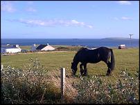 Click image for larger version

Name:	Orkney Islands-20120930-01019.jpg
Views:	622
Size:	188.1 KB
ID:	87953