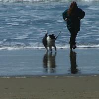 Winter beach