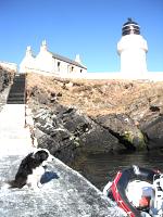 Helliar Holm lighthouse pier, Orkney, with first mate ready to board