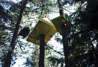 Inflatable boat used in a tree occupation in Oregon. Protecting old growth forest prior to a timber auction.