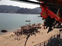 Today's (Sunday 26/1/14) trip was to the 'China Beach Club' on Mui Wo, South Lantau Island, Hong Kong