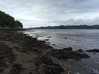 Crinan