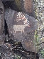 Indian pictograph from zodiac