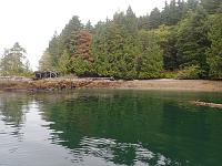 2019 Northeast Vancouver Island and Broughton Archipelago