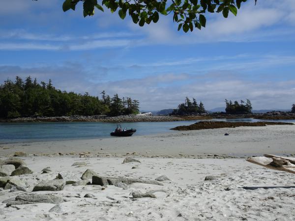 East side of largest island in the Mcmullin Group.