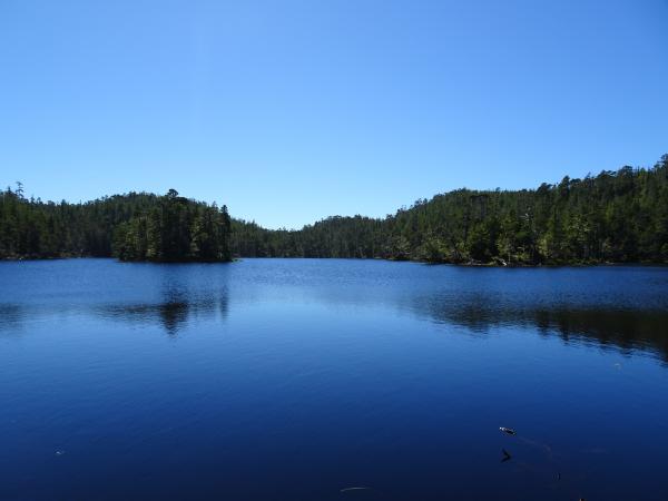 Small lake on Spider Island, short bushwhack from the shoreline.