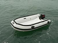 Sea Rider 310