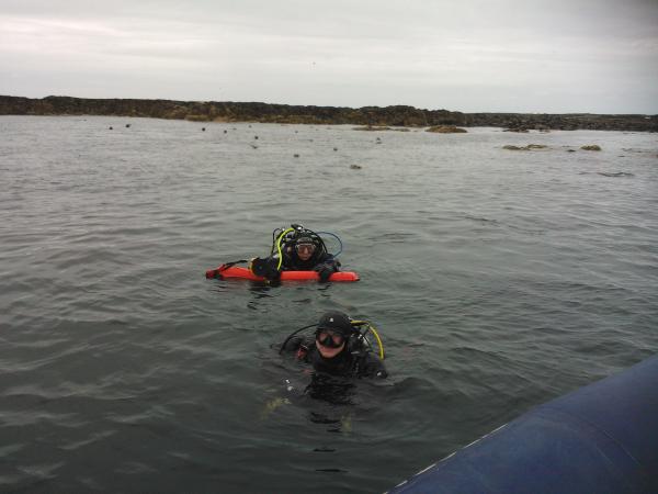Divers happy return after playing with the seals!