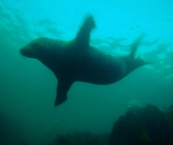 September 2013 Farnes 012